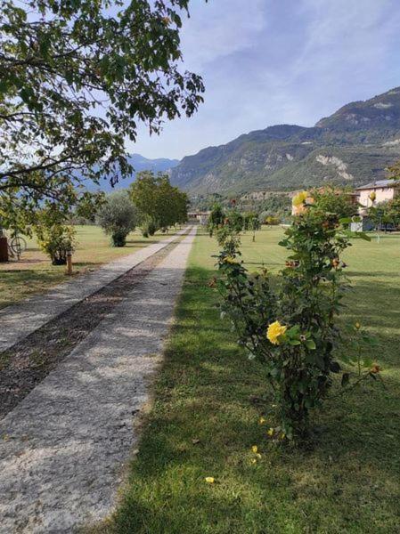 Residence Salvadori Rovereto  Buitenkant foto